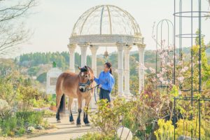 乗馬リトリートステイ