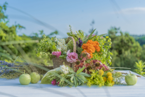 宿泊者様専用ラウンジオープン記念 20%OFFキャンペーン